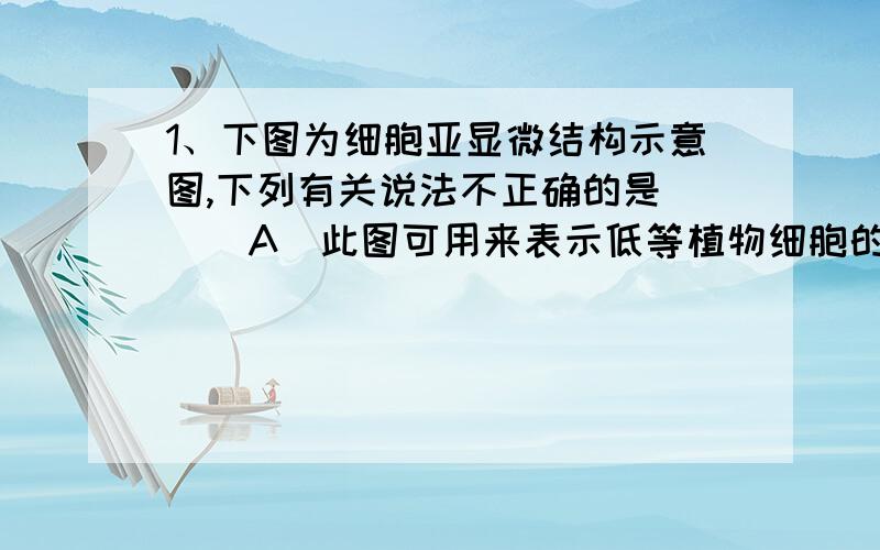 1、下图为细胞亚显微结构示意图,下列有关说法不正确的是（ ） A．此图可用来表示低等植物细胞的亚显微结1、下图为细胞亚显微结构示意图,下列有关说法不正确的是（　） A．此图可用来