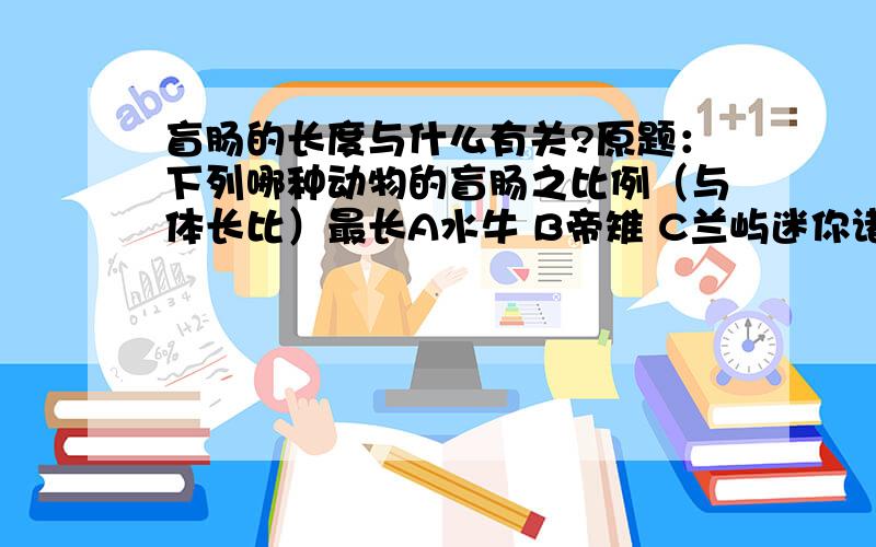 盲肠的长度与什么有关?原题：下列哪种动物的盲肠之比例（与体长比）最长A水牛 B帝雉 C兰屿迷你诸 D考拉 E梅花鹿