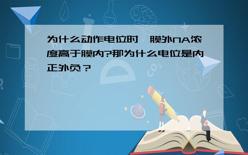 为什么动作电位时,膜外NA浓度高于膜内?那为什么电位是内正外负？