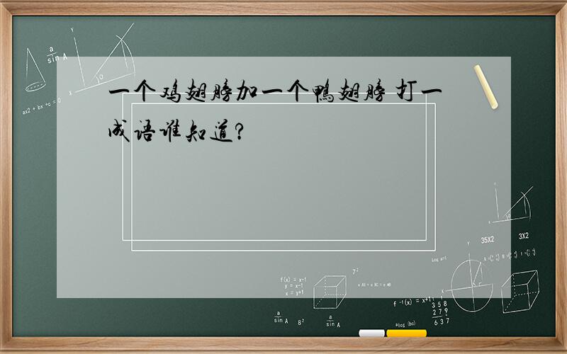 一个鸡翅膀加一个鸭翅膀 打一成语谁知道?