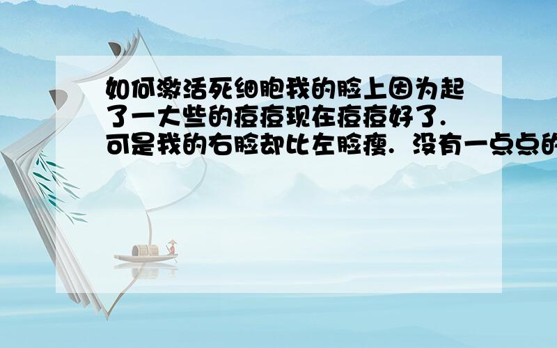 如何激活死细胞我的脸上因为起了一大些的痘痘现在痘痘好了.可是我的右脸却比左脸瘦.  没有一点点的弹性.我把两只手放到脸上感觉一个胖一点一个瘦一点.  是不是我的右脸的细胞死了.