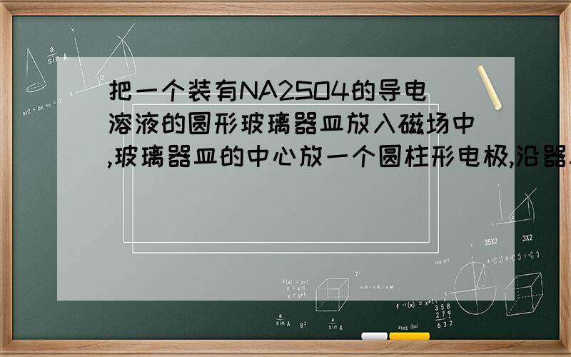 把一个装有NA2SO4的导电溶液的圆形玻璃器皿放入磁场中,玻璃器皿的中心放一个圆柱形电极,沿器皿边缘内壁一个圆环形电极,把两电极分别与电池的正负极相连.对于溶液中正负离子的运动,下