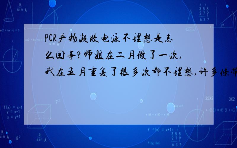 PCR产物凝胶电泳不理想是怎么回事?师姐在二月做了一次,我在五月重复了很多次都不理想,许多条带跑不出来.问一下是不是多次冻融模板DNA降解了.