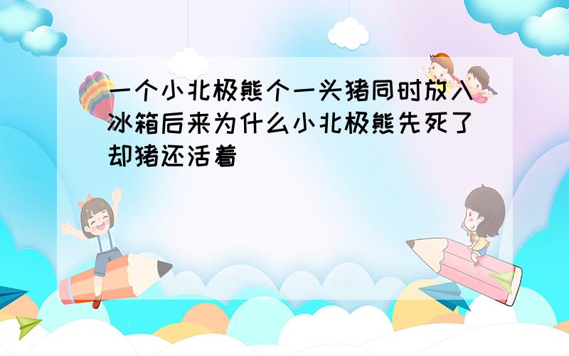 一个小北极熊个一头猪同时放入冰箱后来为什么小北极熊先死了却猪还活着