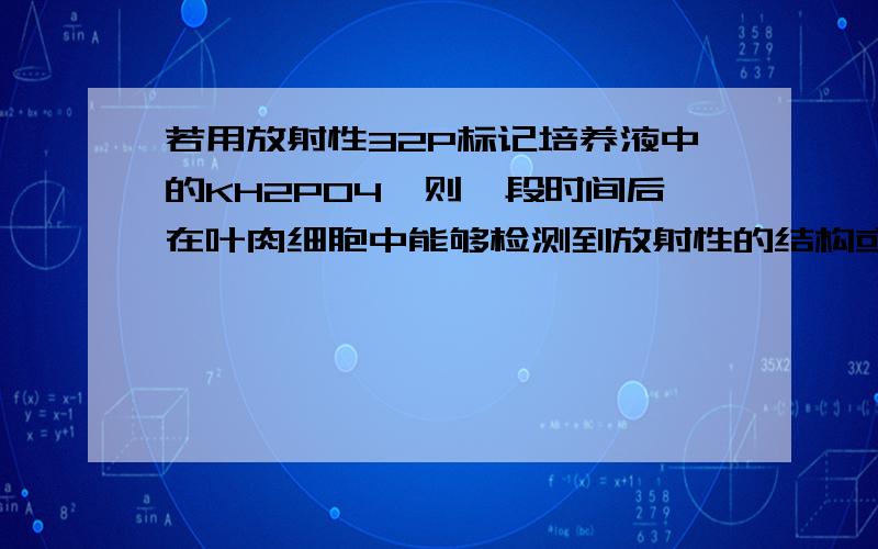 若用放射性32P标记培养液中的KH2PO4,则一段时间后在叶肉细胞中能够检测到放射性的结构或物质有 ACDE .（从下列选项中选择,用序号表示）A．核糖核酸 B．脂肪 C．ATP D．高尔基体 E．辅酶II F．