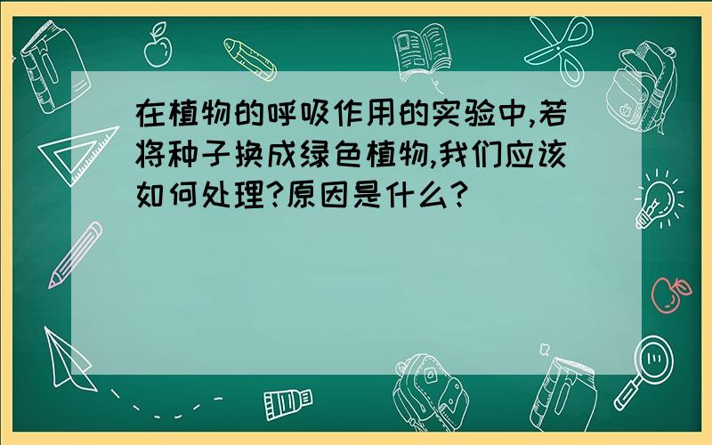 在植物的呼吸作用的实验中,若将种子换成绿色植物,我们应该如何处理?原因是什么?