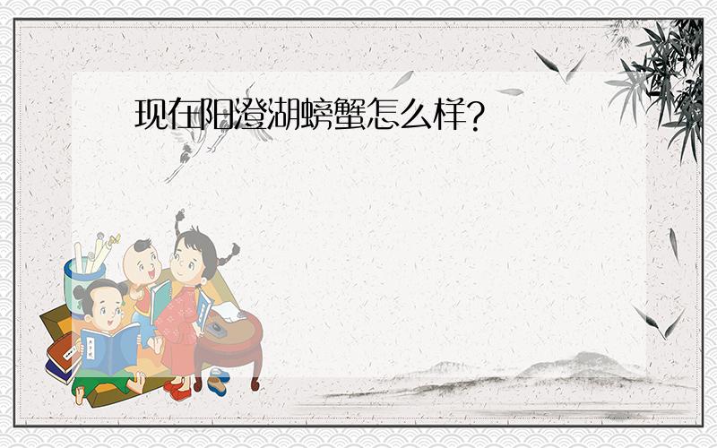 现在阳澄湖螃蟹怎么样?