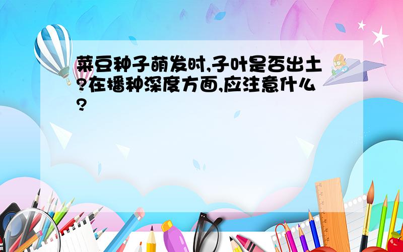 菜豆种子萌发时,子叶是否出土?在播种深度方面,应注意什么?