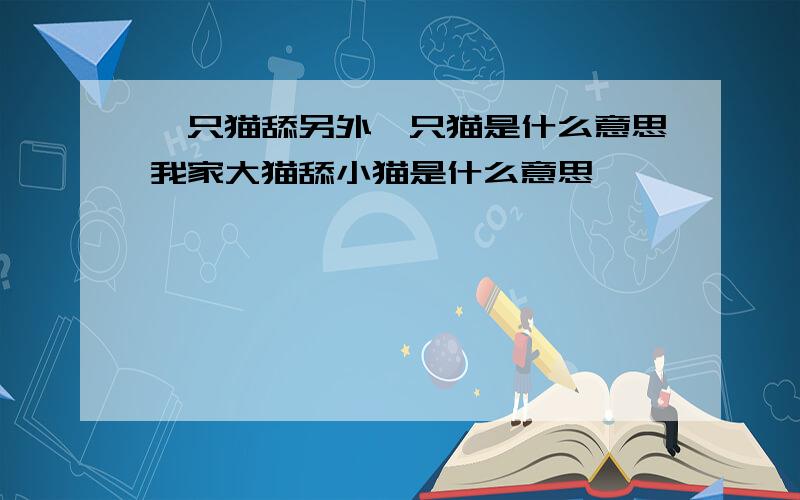 一只猫舔另外一只猫是什么意思我家大猫舔小猫是什么意思