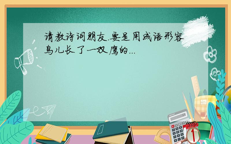 请教诗词朋友.要是用成语形容鸟儿长了一双鹰的...