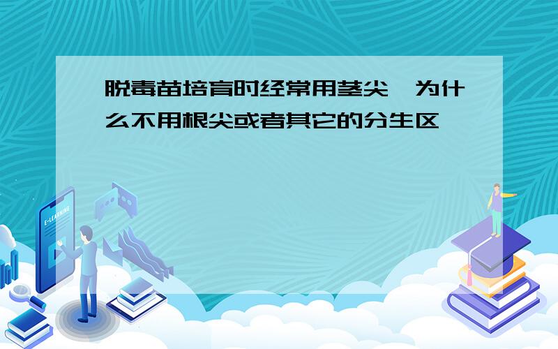 脱毒苗培育时经常用茎尖,为什么不用根尖或者其它的分生区