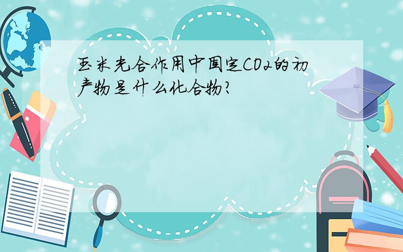 玉米光合作用中固定CO2的初产物是什么化合物?