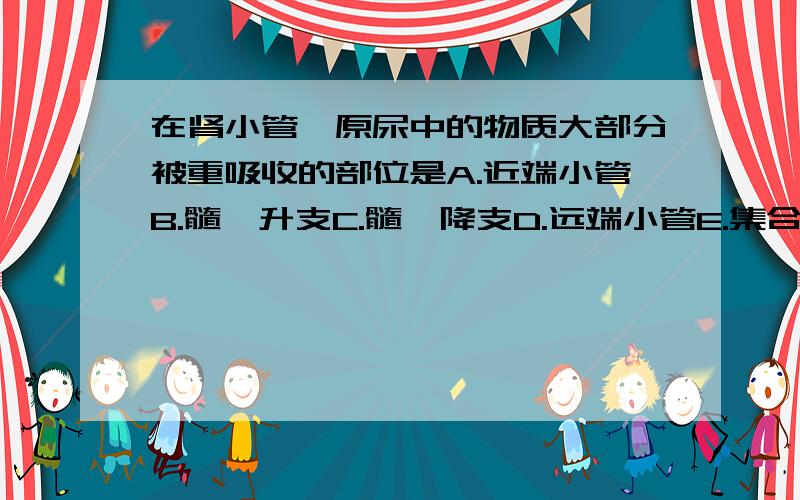 在肾小管,原尿中的物质大部分被重吸收的部位是A.近端小管B.髓袢升支C.髓袢降支D.远端小管E.集合管A.近端小管B.髓袢升支C.髓袢降支D.远端小管E.集合管