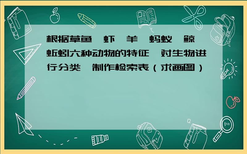 根据草鱼,虾,羊,蚂蚁,鲸,蚯蚓六种动物的特征,对生物进行分类,制作检索表（求画图）