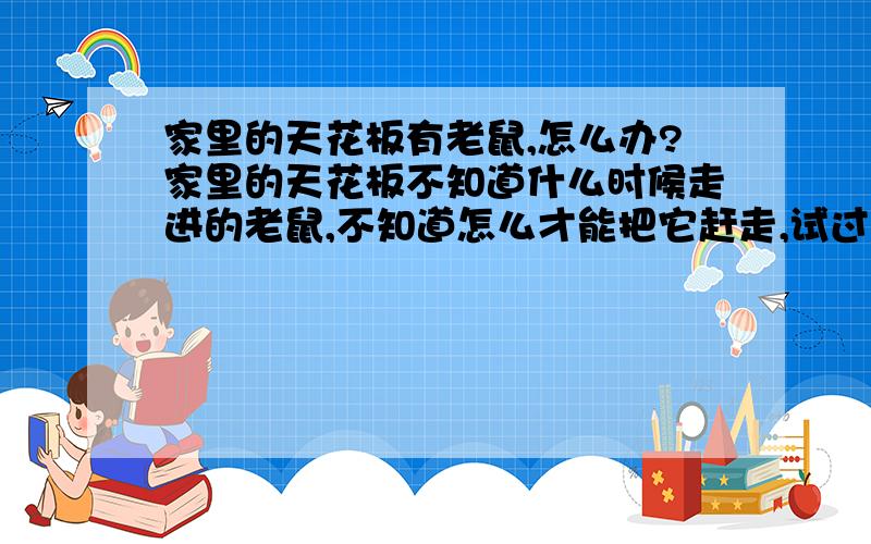 家里的天花板有老鼠,怎么办?家里的天花板不知道什么时候走进的老鼠,不知道怎么才能把它赶走,试过用粘鼠贴,但是粘了两个后,其它的都不上当了,因为家里有小孩,所以也不能养猫,晚上那些