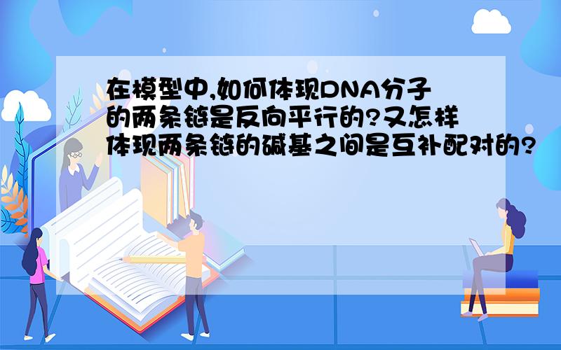 在模型中,如何体现DNA分子的两条链是反向平行的?又怎样体现两条链的碱基之间是互补配对的?