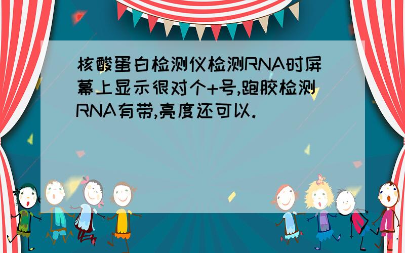 核酸蛋白检测仪检测RNA时屏幕上显示很对个+号,跑胶检测RNA有带,亮度还可以.