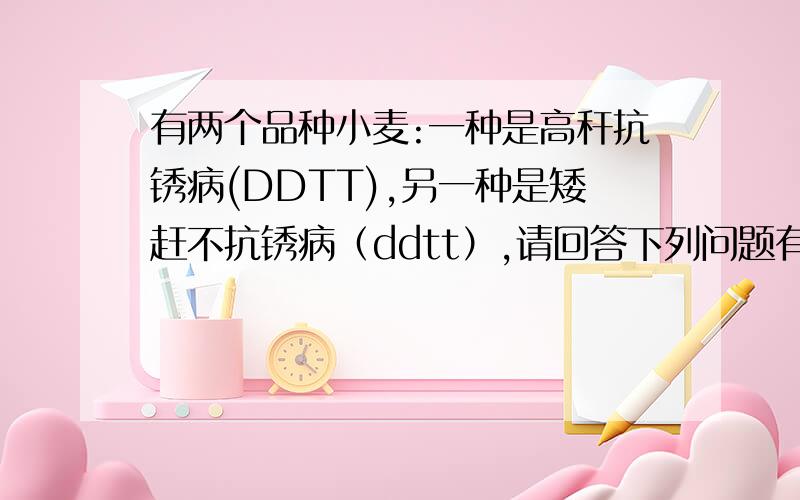 有两个品种小麦:一种是高秆抗锈病(DDTT),另一种是矮赶不抗锈病（ddtt）,请回答下列问题有两个品种小麦:一种是高秆抗锈病(DDTT),另一种是矮秆不抗锈病（ddtt）,请回答下列问题：（1）快速育