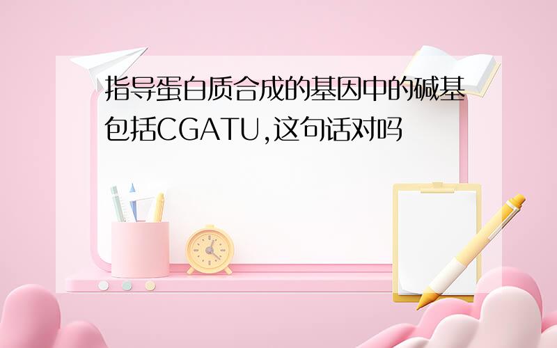 指导蛋白质合成的基因中的碱基包括CGATU,这句话对吗