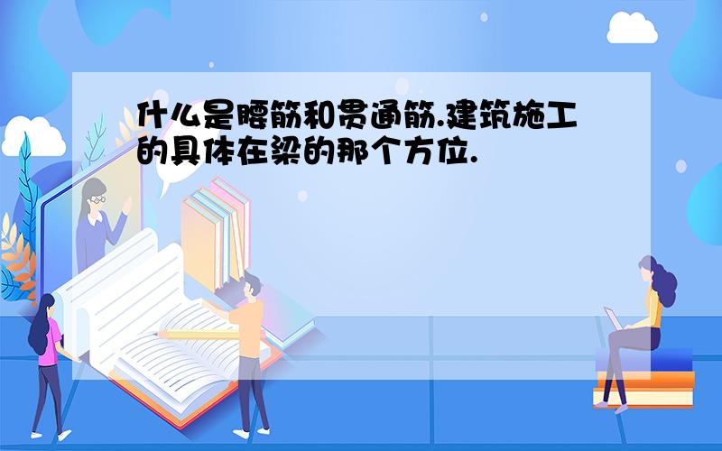 什么是腰筋和贯通筋.建筑施工的具体在梁的那个方位.