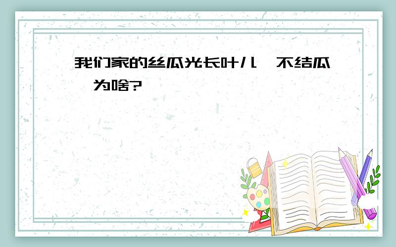 我们家的丝瓜光长叶儿,不结瓜,为啥?