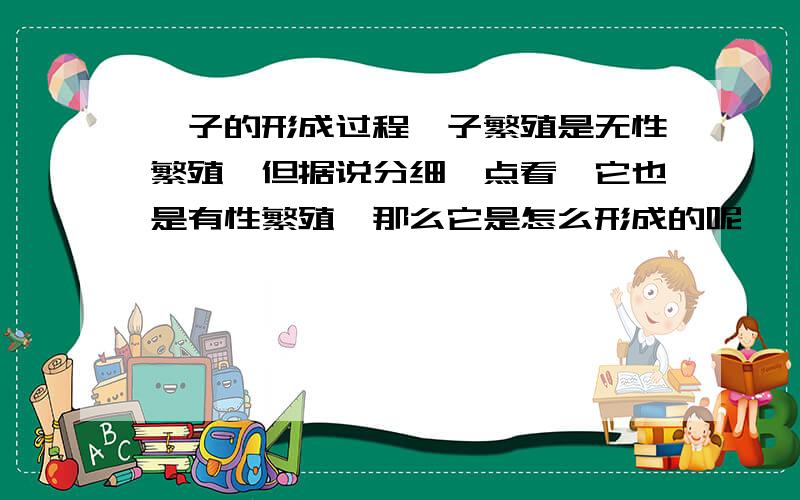 孢子的形成过程孢子繁殖是无性繁殖,但据说分细一点看,它也是有性繁殖,那么它是怎么形成的呢