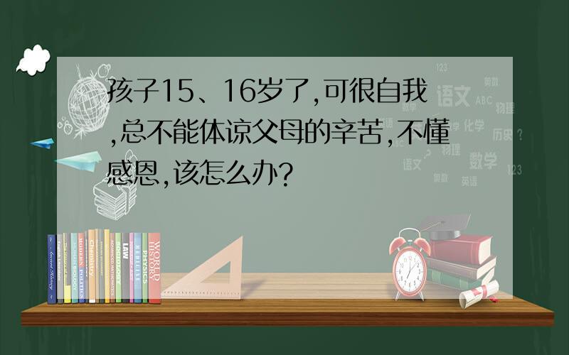 孩子15、16岁了,可很自我,总不能体谅父母的辛苦,不懂感恩,该怎么办?