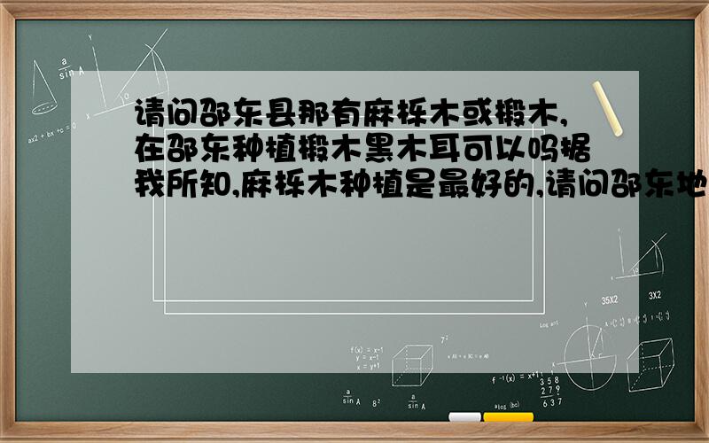 请问邵东县那有麻栎木或椴木,在邵东种植椴木黑木耳可以吗据我所知,麻栎木种植是最好的,请问邵东地区那有这种树