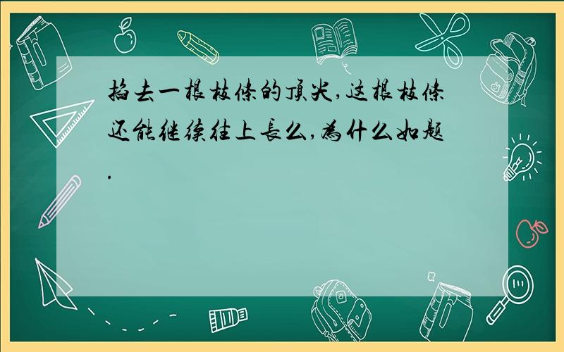 掐去一根枝条的顶尖,这根枝条还能继续往上长么,为什么如题.