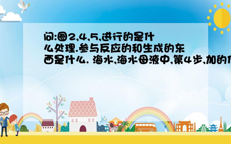 问:圈2,4,5,进行的是什么处理.参与反应的和生成的东西是什么. 海水,海水母液中,第4步,加的什么?到第5步,怎么出现了SO2?