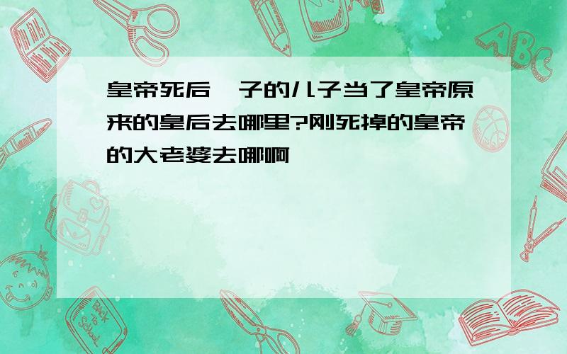 皇帝死后妃子的儿子当了皇帝原来的皇后去哪里?刚死掉的皇帝的大老婆去哪啊