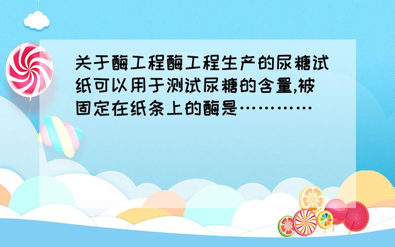 关于酶工程酶工程生产的尿糖试纸可以用于测试尿糖的含量,被固定在纸条上的酶是…………（    ） ①葡萄糖氧化酶     ②唾液淀粉酶    ③过氧化氢酶     ④葡聚糖酶   A.①③       B.②③    C.