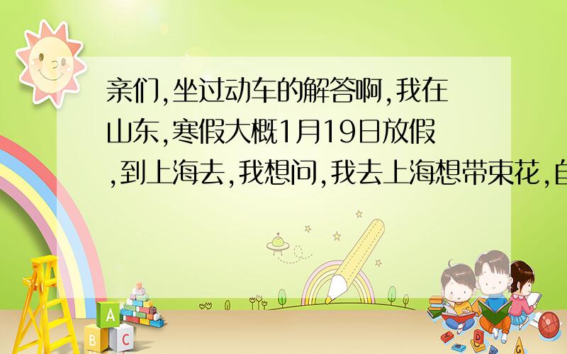 亲们,坐过动车的解答啊,我在山东,寒假大概1月19日放假,到上海去,我想问,我去上海想带束花,自己叠的九十九朵玫瑰送人,很大,就跟真的差不多大,坐动车挤不挤,上车的时候,或者坐车上会不会