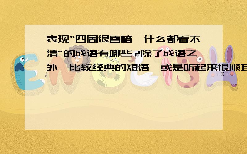 表现“四周很昏暗,什么都看不清”的成语有哪些?除了成语之外,比较经典的短语,或是听起来很顺耳的句子也行~