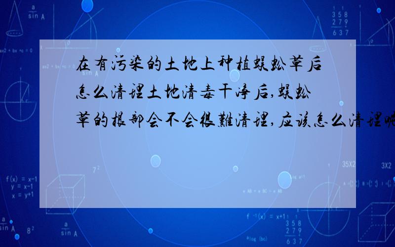 在有污染的土地上种植蜈蚣草后怎么清理土地清毒干净后,蜈蚣草的根部会不会很难清理,应该怎么清理呢?