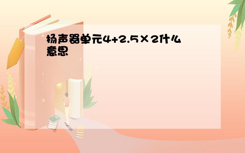 扬声器单元4+2.5×2什么意思