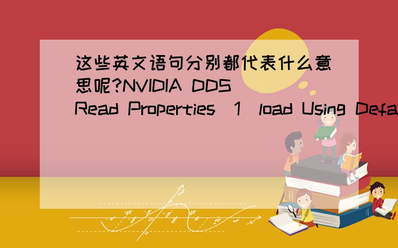 这些英文语句分别都代表什么意思呢?NVIDIA DDS Read Properties（1）load Using Default Sizes（2）Convert Images to 8 bits（3）Convert Images to 16 bits（4）Convert Images to 32 bits                              Load MIP maps