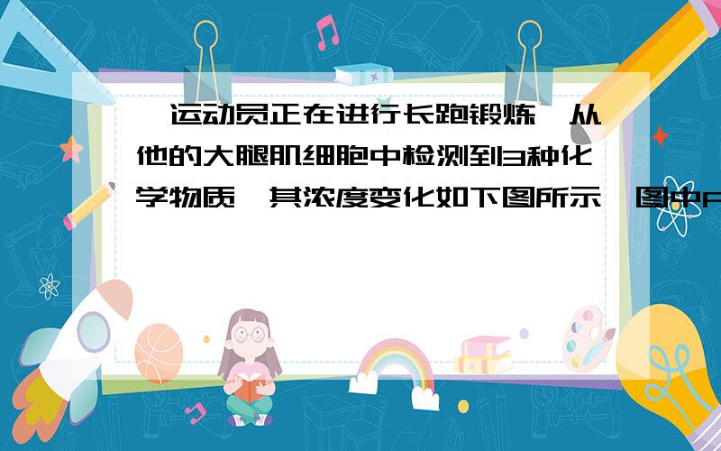 一运动员正在进行长跑锻炼,从他的大腿肌细胞中检测到3种化学物质,其浓度变化如下图所示,图中P、Q、R三曲线依次代表    [     ]   A．O2、CO2、乳酸B．乳酸、CO2、O2C．CO2、O2、乳酸D．CO2、乳酸