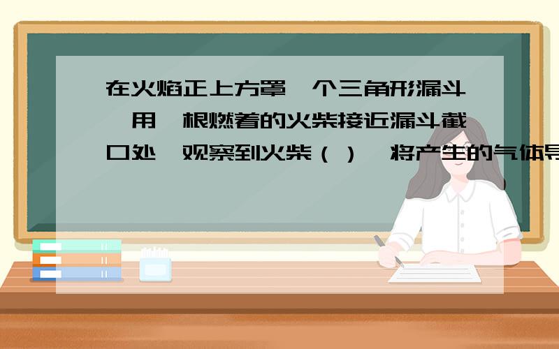 在火焰正上方罩一个三角形漏斗,用一根燃着的火柴接近漏斗截口处,观察到火柴（）,将产生的气体导出通入澄清石灰水,振荡,石灰水（）.