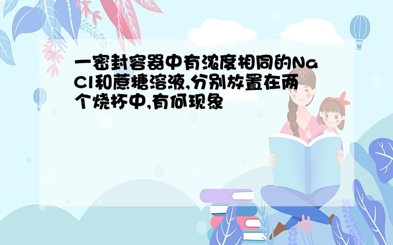 一密封容器中有浓度相同的NaCl和蔗糖溶液,分别放置在两个烧杯中,有何现象