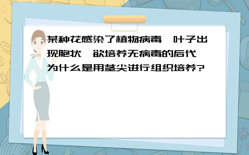 某种花感染了植物病毒,叶子出现胞状,欲培养无病毒的后代,为什么是用茎尖进行组织培养?