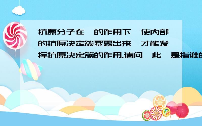 抗原分子在酶的作用下,使内部的抗原决定簇暴露出来,才能发挥抗原决定簇的作用.请问,此酶是指谁的酶?此作用具体指什么作用?