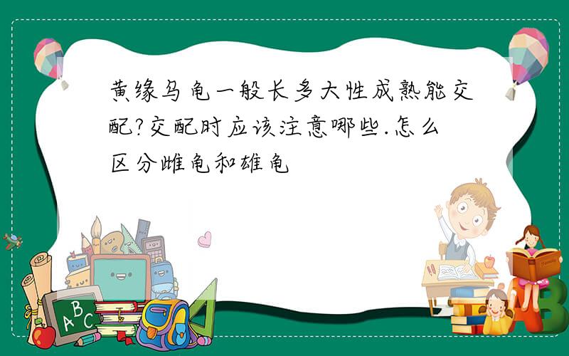 黄缘乌龟一般长多大性成熟能交配?交配时应该注意哪些.怎么区分雌龟和雄龟