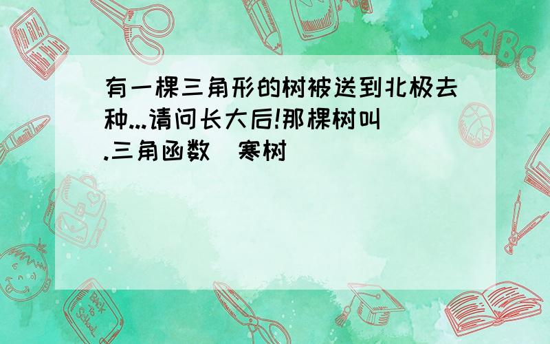 有一棵三角形的树被送到北极去种...请问长大后!那棵树叫.三角函数（寒树）