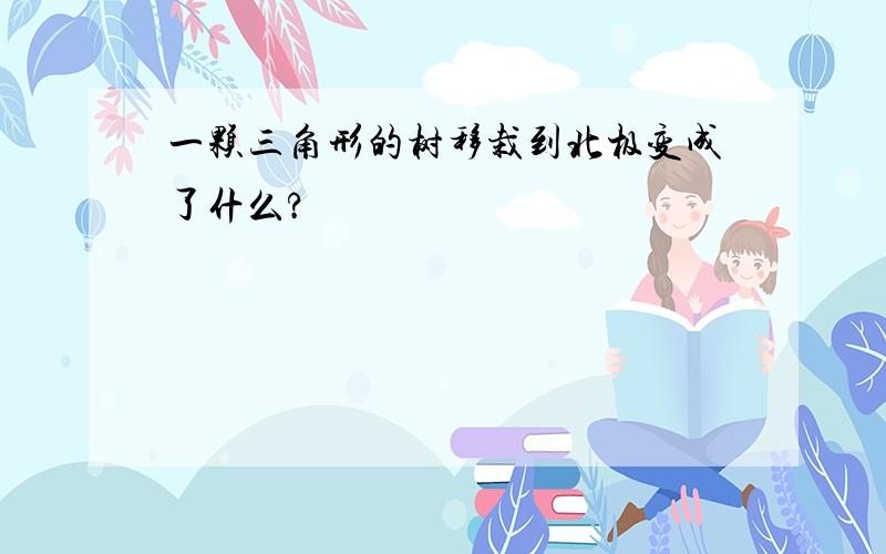 一颗三角形的树移栽到北极变成了什么?