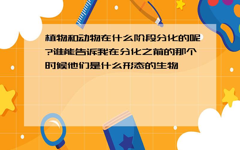 植物和动物在什么阶段分化的呢?谁能告诉我在分化之前的那个时候他们是什么形态的生物