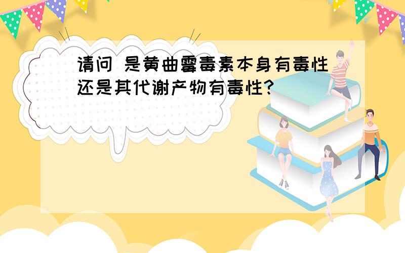 请问 是黄曲霉毒素本身有毒性还是其代谢产物有毒性?