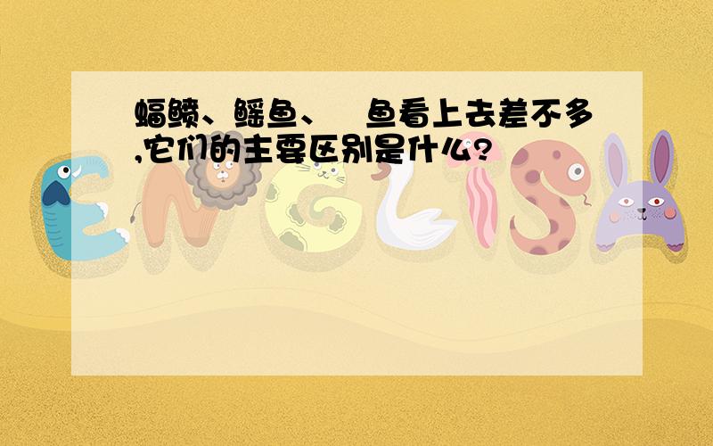 蝠鲼、鳐鱼、魟鱼看上去差不多,它们的主要区别是什么?