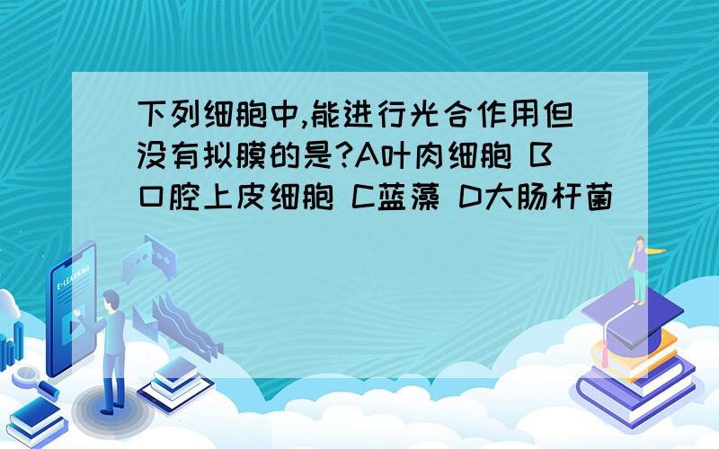 下列细胞中,能进行光合作用但没有拟膜的是?A叶肉细胞 B口腔上皮细胞 C蓝藻 D大肠杆菌