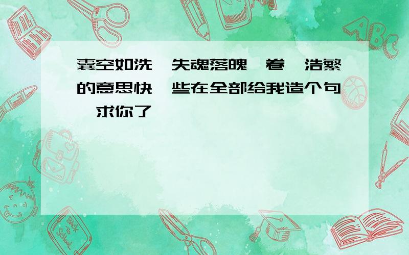 囊空如洗,失魂落魄,卷帙浩繁的意思快一些在全部给我造个句,求你了